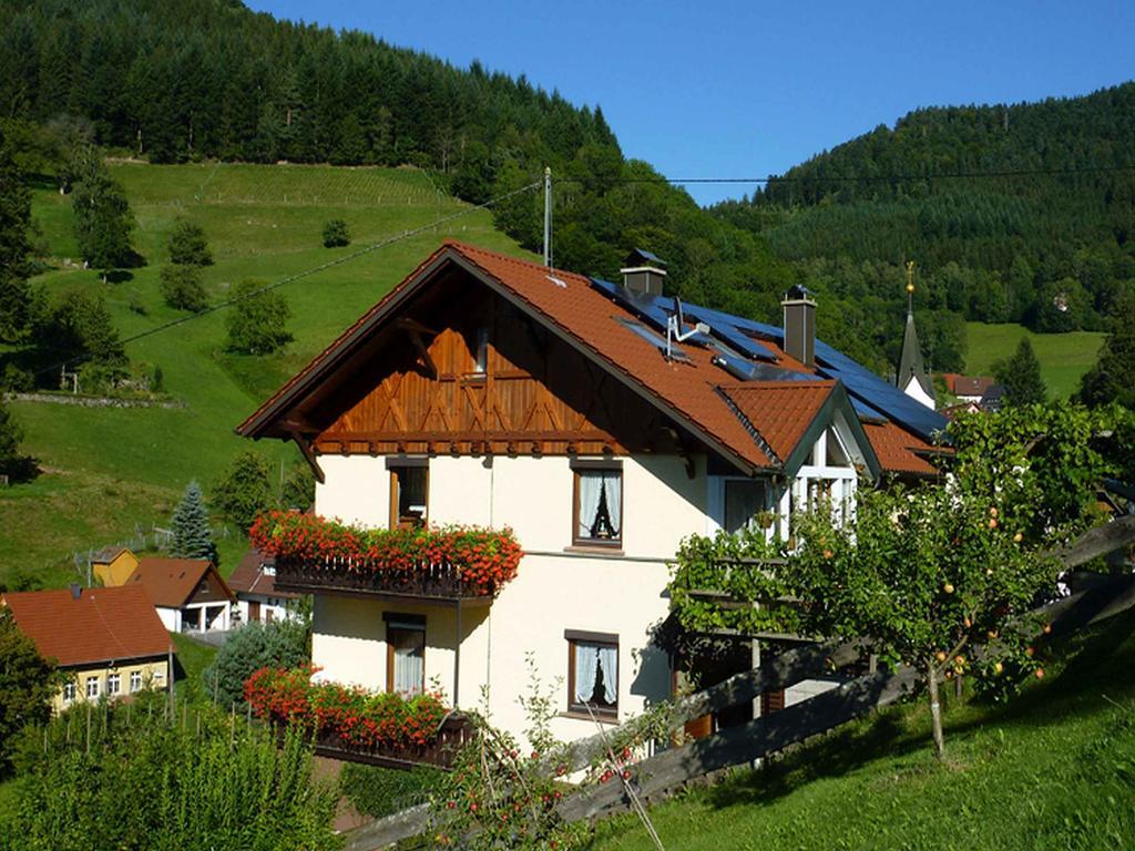 Haus Harter Apartment Wolfach Bagian luar foto