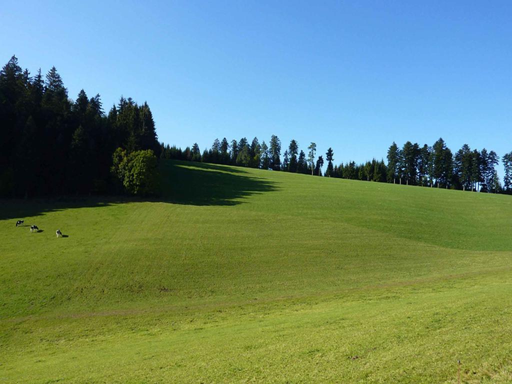 Haus Harter Apartment Wolfach Bagian luar foto