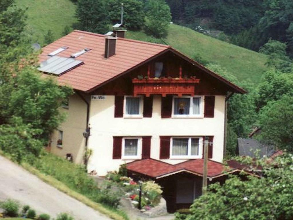 Haus Harter Apartment Wolfach Bagian luar foto